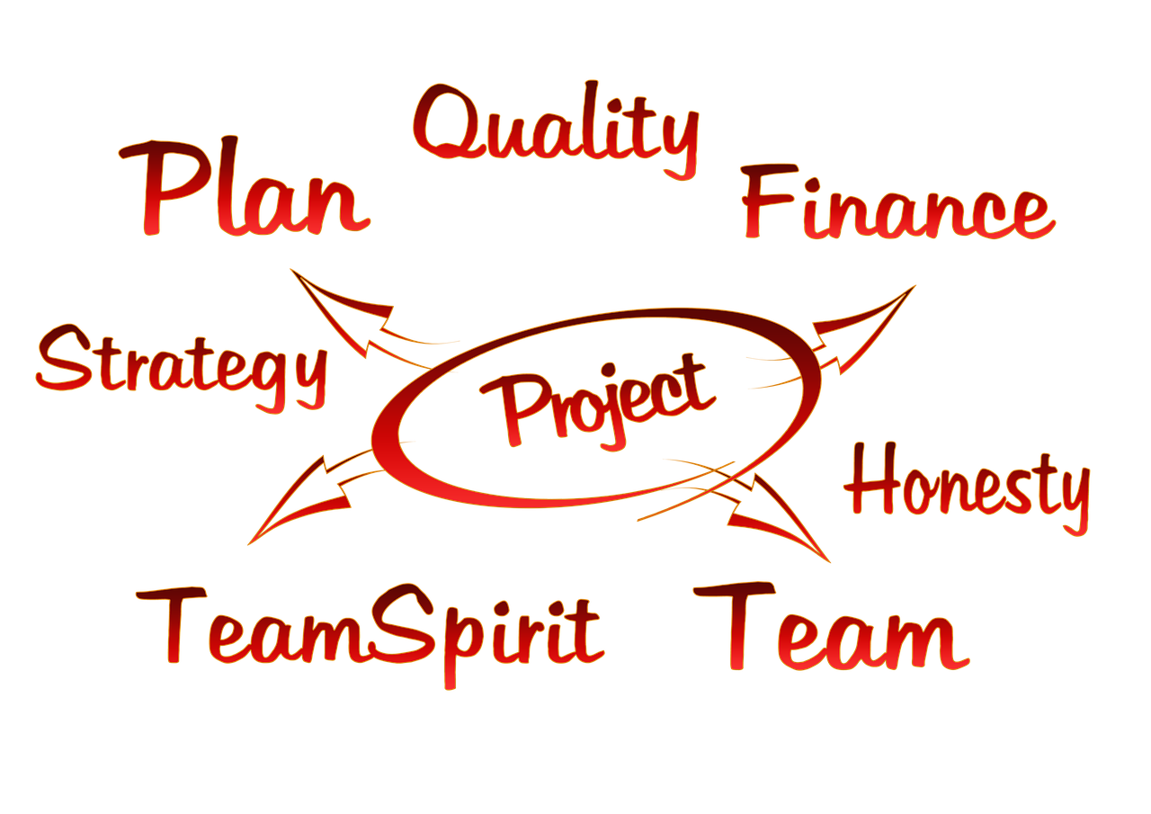 SWSA/BSDC Project Planning and Management (February 2025)