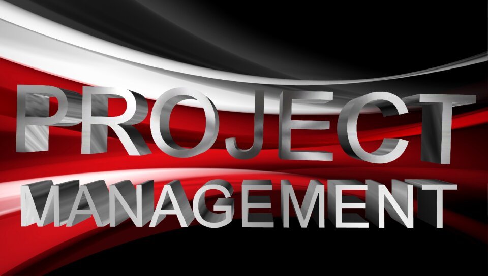 DDS PPM 2024 Project Planning and Management (July 2024)