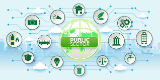 PAM2113 Public Sector Management and Reform Strategies (Aug 2024)