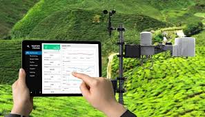 ENM 6222  Environmental Monitoring and Impact Assessment(January 2025)