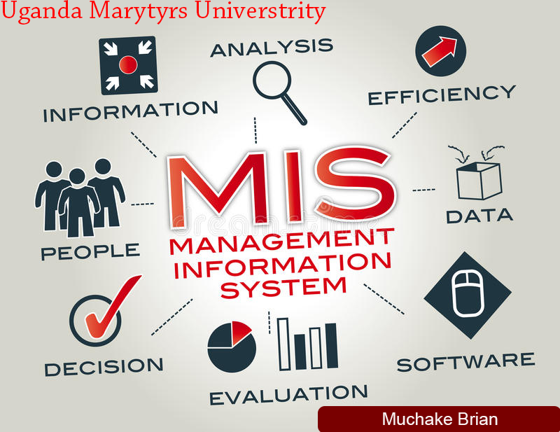 MIS2021 MANAGEMENT INFORMATION SYSTEMS